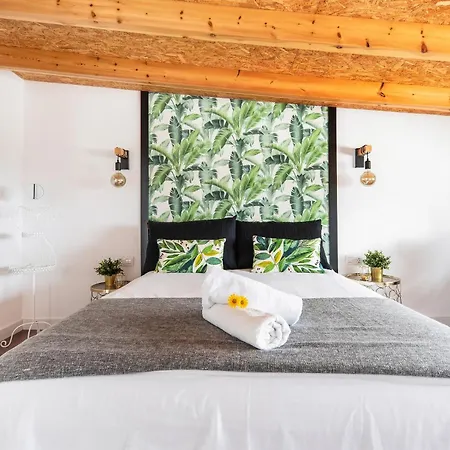 Casa Adayeim 2 Casa de Férias Icod De Los Vinos